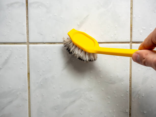 Best Mold Testing  in Midland Park, NJ