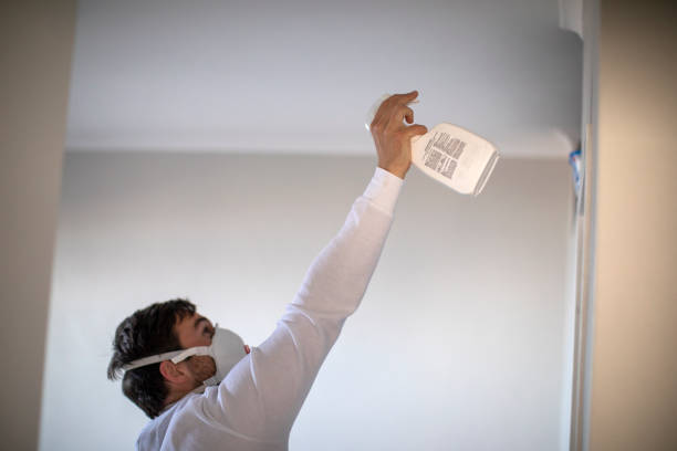 Best Same-Day Mold Removal  in Midland Park, NJ