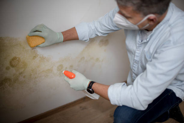 Crawl Space Mold Removal in Midland Park, NJ