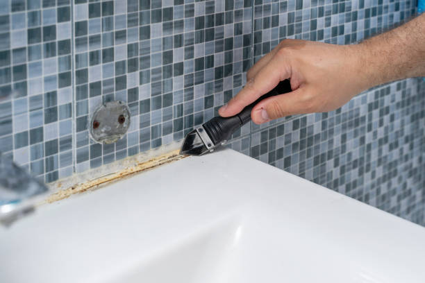 Best Black Mold Removal  in Midland Park, NJ