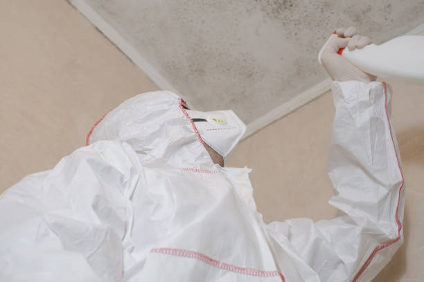 Crawl Space Mold Removal in Midland Park, NJ
